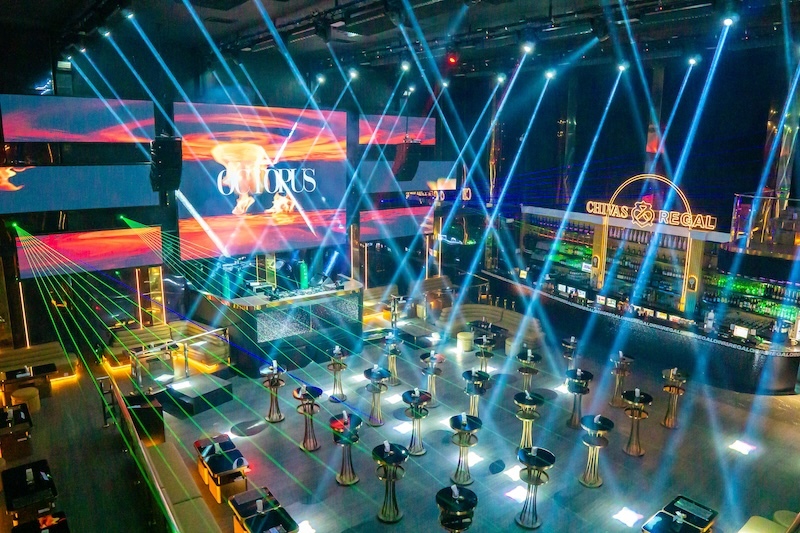 Octopus Manilla 4 Octopus Manilla 4